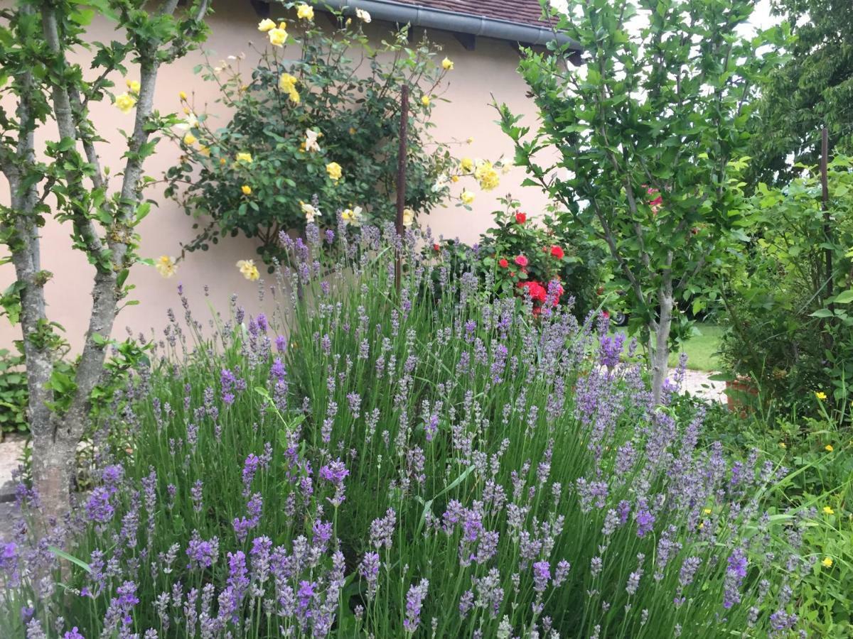 Chantilly ,Petit Dejeuner Et Table D'Hotes Possible Noyers  Exterior foto